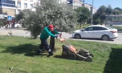 Efeler’in yeşil alanları Başkan Anıl Yetişkin’le daha konforlu hale geliyor