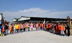 Çiğli Belediyesi çocuklar için besi çiftliğinde etkinlik düzenledi