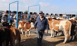 Afyonkarahisar’da Kurbanlık Satışları Başladı