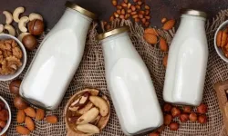 Bitkisel Sütler Sağlıklı mı? Uzman Diyetisyen Zülal Yalçın’dan Açıklamalar