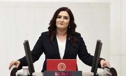 CHP'den Yeni Teklif: 2911 Sayılı Yasa Değişiyor Mu?
