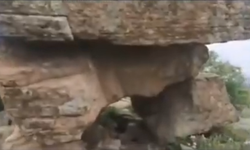 Dikili’de Büyük İddia: Antik Mezarlara Rağmen İmar!