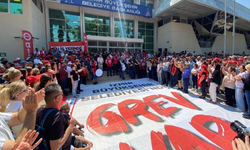 DİSK’ten Cemil Tugay’a grev tepkisi: Tweet atmayı bırak