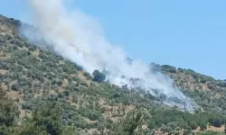 Bayındır’da Zeytinlik Alanda Yangın Çıktı!