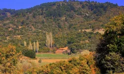 İzmir’in Huzurlu Cenneti: Günlüce Köyü