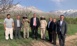 CHP’li Gürer’den Arıcılara Destek Çağrısı: “Arıcılık Çöküşte”