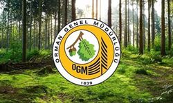 OGM 3.477 personel alımı sonuçları ne zaman açıklanacak? İşte beklenen tarih