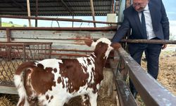 Manisa’da “Tek Dam Projesi” bilgilendirme toplantıları sürüyor