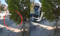 Kuşadası’nda otobüs skandalı: Yatan köpeği ezdi!