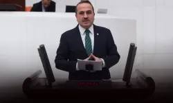 AK Partili Kırkpınar’a göre ‘zeytin ağaçları katledilecek’ söylemi manipülasyon