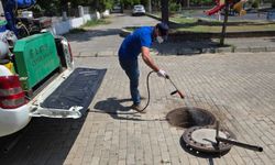 Aydın Efeler sıcağa teslim: Haşereler kapı pencere açtırmıyor!
