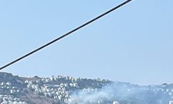 Bodrum'da otluk alanda yangın: Erken müdahale felaketi önledi
