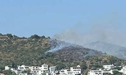 Bodrum'da makilik alanda yangın: Havadan ve karadan müdahale