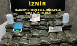 İzmir polisi 126 kilo bonzai yakaladı