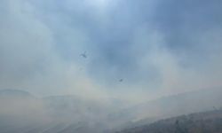 Manisa'da orman yangını alarmı