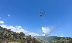 Menteşe’deki orman yangını kontrol altına alındı