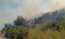 Söke’deki yangın ormana yayıldı