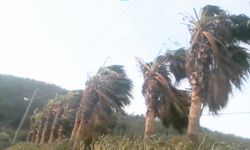 Muğla'nın 9 ilçesi için fırtına uyarısı: 70 km/saat hız bekleniyor