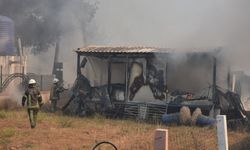 İzmir'deki orman yangınında 3 ev yandı: Yangının çıkış sebebi belli oldu