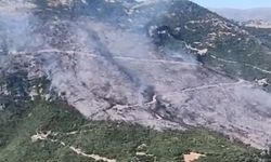 Aydın’da yangın alarmı