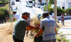 Bodrum'da bayram temizliği: Akyarlar'da yoğun mesai