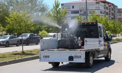 Buca’da haşerelere karşı seferberlik: 3 aşamalı ilaçlama başladı
