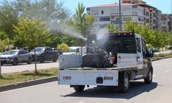 Buca’da 24 saat ilaçlama seferberliği: Zararlılara geçit yok