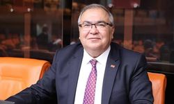 CHP’li Bülbül’den zeytinlikleri ranta açan kanun teklifine tepki