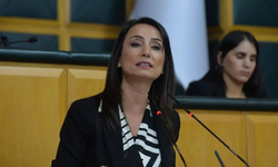 DEM Parti İzmir grevini meclis gündemine taşıdı