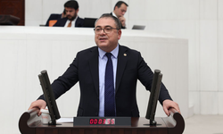CHP’li Karakoz’dan zeytin yasasına karşı çağrı