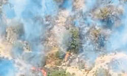 Foça’da arıcının tütsüsü ormanı yaktı