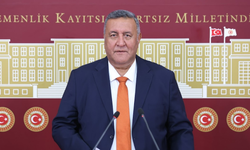 CHP’li Gürer’den uyarı: Zeytinlikler madenciliğe açılmasın