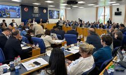 Zeytinlikler için tehlike çanları: Yasa komisyondan geçti