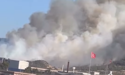 İzmir Aliağa’da Sanayi Tesisleri Yakınlarında Orman Yangını başladı