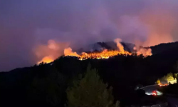 İzmir Bornova’da Orman Yangını: 455 Ev Tahliye Edildi, 3 Şüpheli Gözaltında