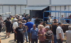İzmir’de Kurban Kesimleri İçin Tüm Hazırlıklar Tamam