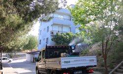 Karabağlar’da haşereyle mücadele seferberliği başladı