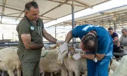 Karşıyaka’da kurban bayramı için tüm önlemler alındı
