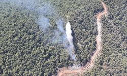 Manisa’da alevlerle mücadele havadan ve karadan yapıldı