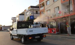 Menderes’te haşerelere karşı ikinci etap ilaçlama başladı