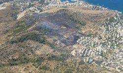 Türkbükü’nde Makilik Alandaki Yangın Kontrol Altına Alındı