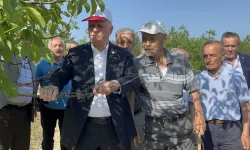 65 ilde tarım alarm veriyor: Zirai don büyük zarar verdi