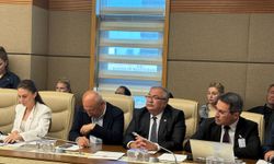 CHP’li Bülbül’den zeytinlik yasa teklifine sert tepki