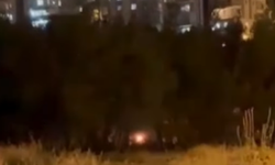 Yangın Tehlikesine Rağmen Ağaçlık Alanda Ateş Yaktılar