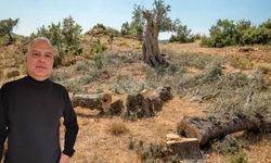 Çakıcı’dan sert çıkış: “Gıdaya erişim riske giriyor”