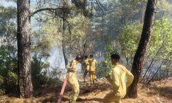 Muğla’da alevler durduruldu, tehlike geçti