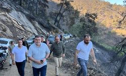 Yangın bölgesinde Kasapoğlu: "Canımız acıyor"