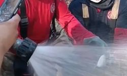 Yangında yaşam için mücadele: Balık kurtarıldı