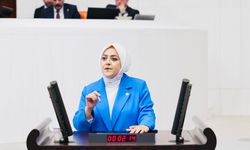 Sema Silkin Ün: “Zeytinlik meta, maden kutsal olmaz”