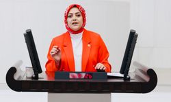 Sema Silkin Ün: "Sahte cihazlara sadece para cezası yetersiz"